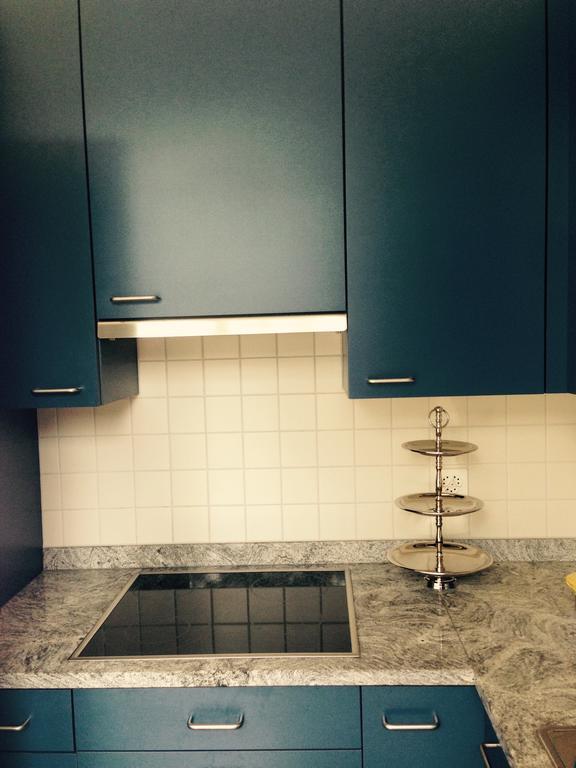 Avliving City Flat Basel With Roof Garden Eksteriør bilde